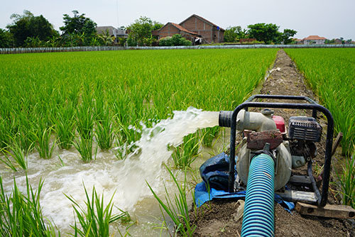 A Pumping Station Powered by Delta CP2000 Frequency Drives is Delivering Efficient Irrigation in South Africa